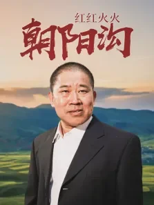 红红火火朝阳沟电视剧海报