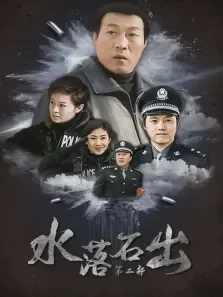 水落石出第二部电视剧海报