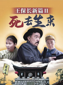 王保长新篇2之死去活来