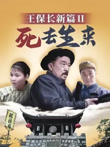 王保长新篇2之死去活来电视剧海报