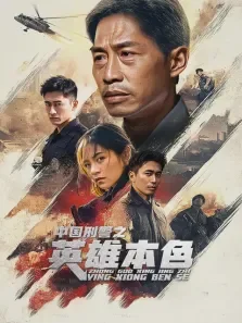 中国刑警之英雄本色电视剧海报