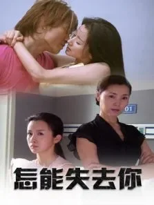 怎能失去你电视剧海报