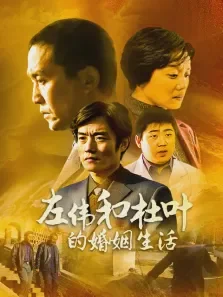 左伟和杜叶的婚姻生活电视剧海报