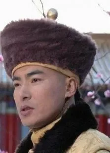 李卫辞官电视剧海报
