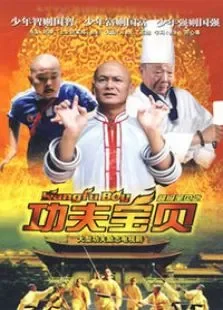 功夫宝贝电视剧海报