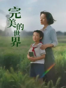 完美的世界电视剧海报