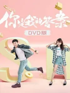 你是我的答案DVD版电视剧海报