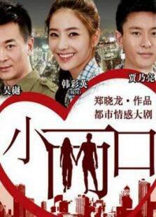 小两口DVD版