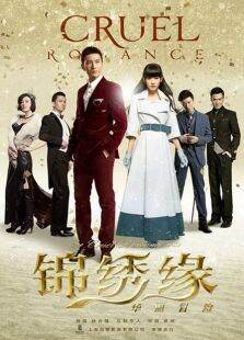 锦绣缘华丽冒险DVD版
