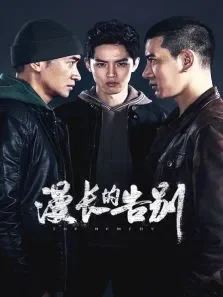 漫长的告别电视剧海报