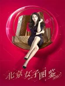 北京女子图鉴电视剧海报
