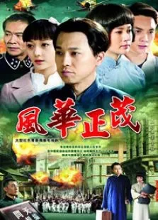 风华正茂电视剧海报