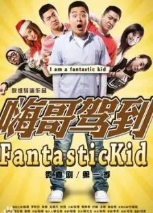 嗨哥驾到电视剧海报