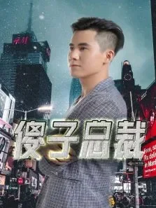 傻子总裁电视剧海报