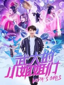 武大的小姐姐们电视剧海报