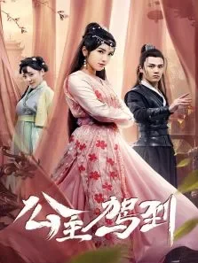 公主驾到电视剧海报