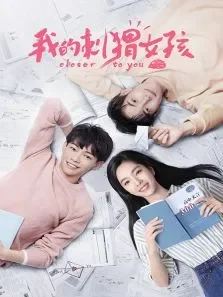 我的刺猬女孩电视剧海报