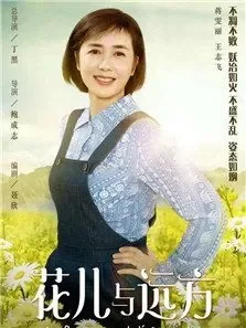 花儿与远方电视剧海报