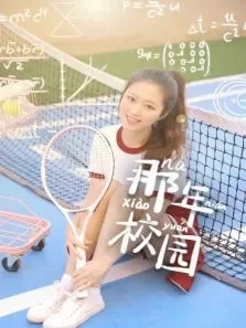 那年校园电视剧海报