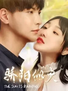 骄阳似火电视剧海报