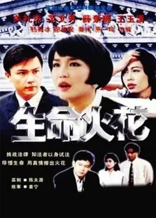 生命火花电视剧海报