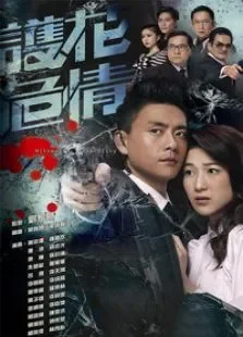 护花危情电视剧海报