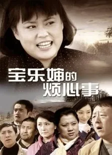 宝乐婶的烦心事DVD版电视剧海报