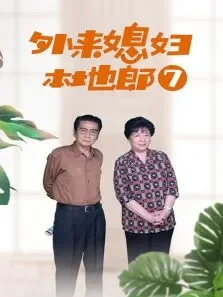 外来媳妇本地郎7电视剧海报