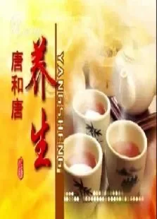 养生综艺海报