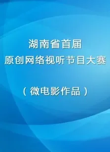 湖南省首届原创网络视听节目大赛（微电影作品）综艺海报