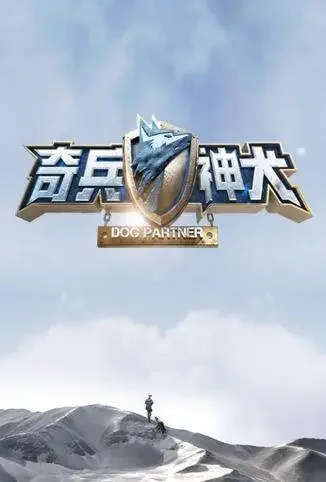 奇兵神犬综艺海报
