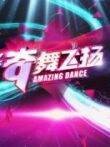 奇舞飞扬2014