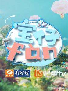 宝仔fn2018