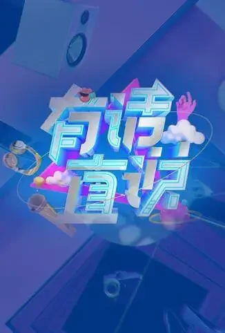 有话直说综艺海报