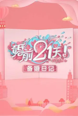 婚前21天 备婚日记综艺海报