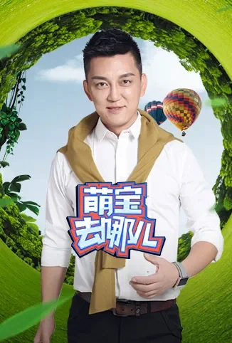 萌宝去哪儿综艺海报