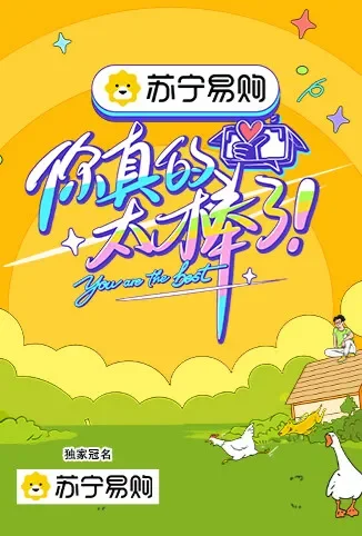 你真的太棒了综艺海报