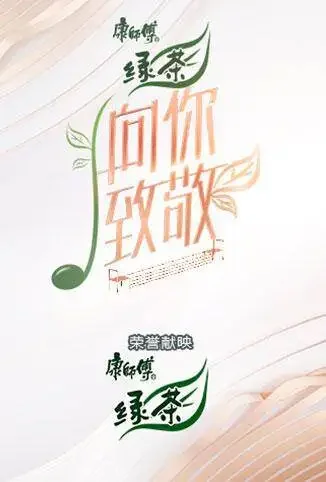 向你致敬综艺海报