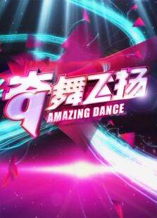 奇舞飞扬2013