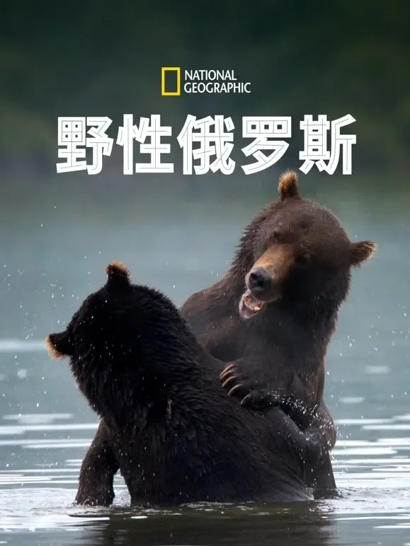 野性俄罗斯 第一季综艺海报
