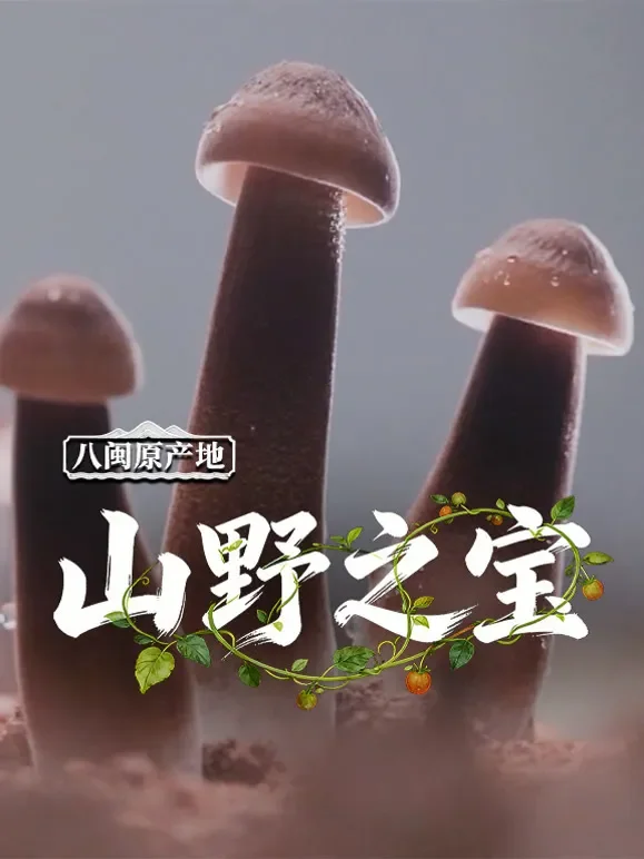 八闽原产地·山野之宝综艺海报