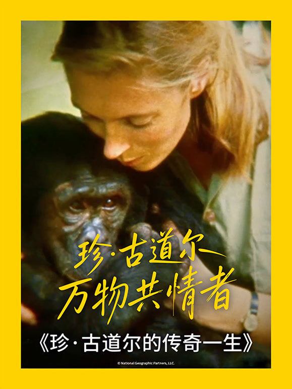 珍·古道尔的传奇一生