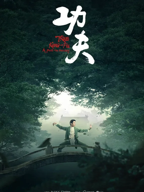 功夫综艺海报