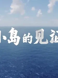 小岛的见证综艺海报