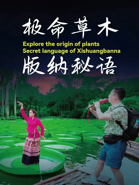 极命草木版纳秘语综艺海报