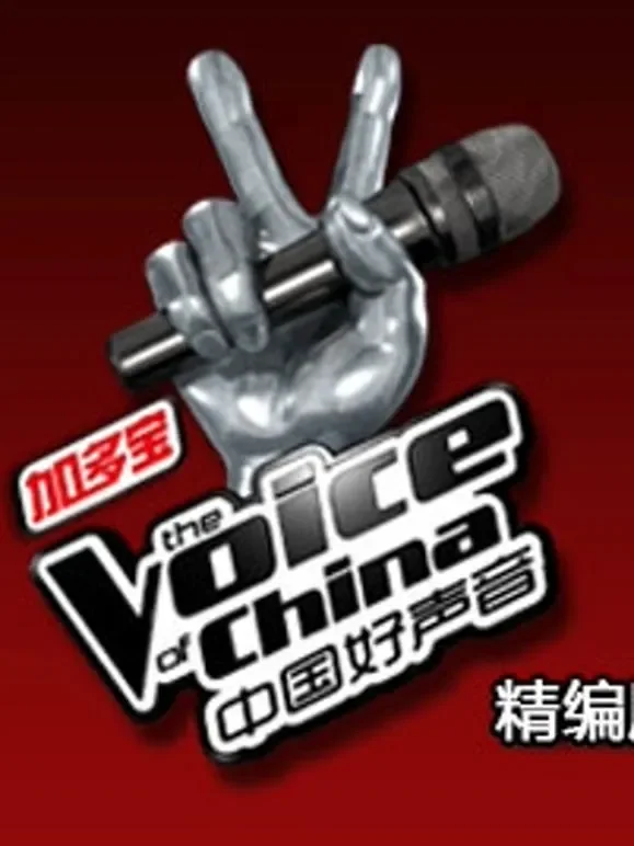 中国好声音精编版综艺海报