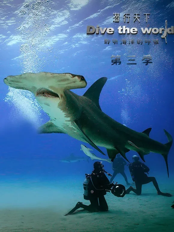 潜行天下第3季综艺海报