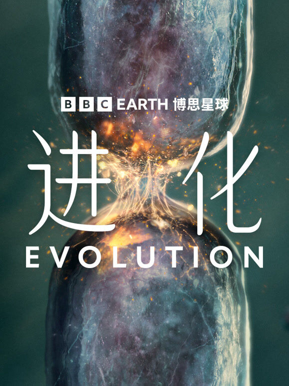 进化