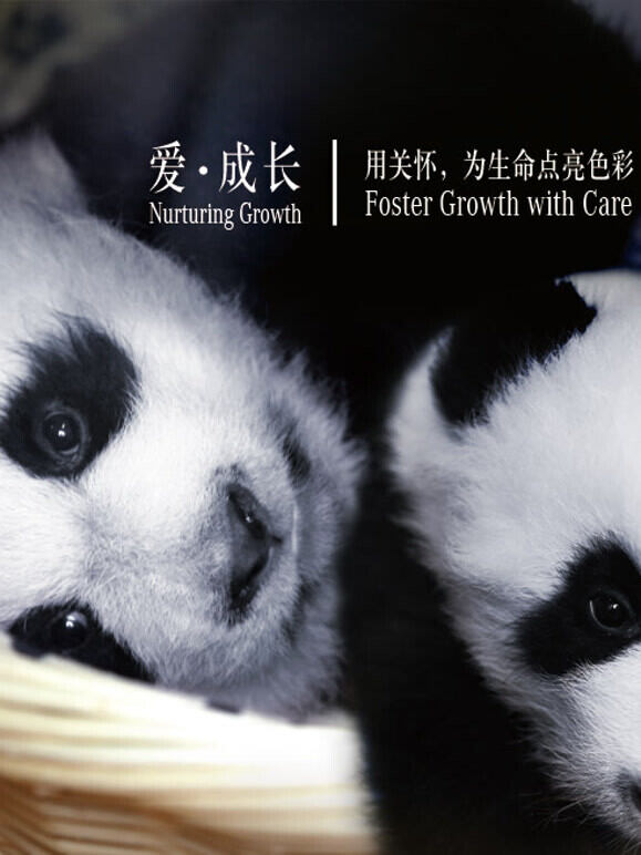 “走进雅安 爱在继续”系列公益片