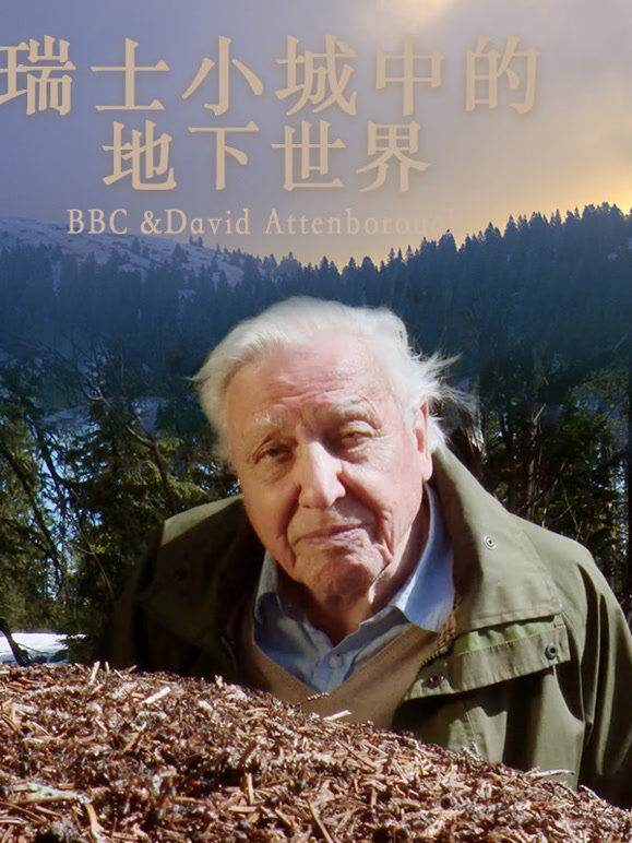 瑞士小城中的地下世界
